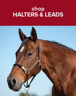Halters & Leads